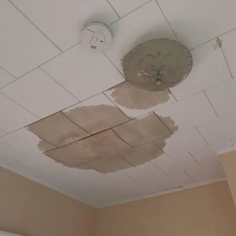 Ceiling Water Damage Repair in Sabana, PR