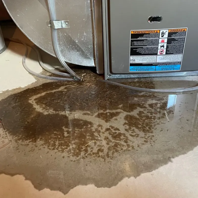 Pipe Burst and Leak Restoration in Sabana, PR